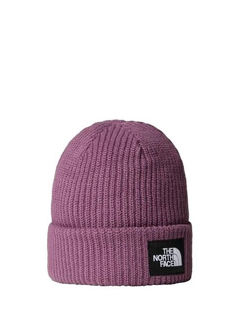 salty lined beanie THE NORTH FACE | NF0A3FJW1NI1.1NI1